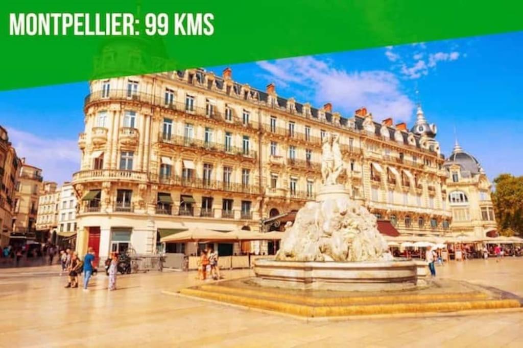 Le Noe - Ac Clim - Wi-Fi Daire Avinyon Dış mekan fotoğraf